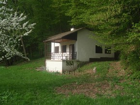 Prodej chaty na okraji lesa v obci Ochoz u Brna